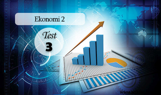 Seçmeli Ekonomi 2 Test 3 | Açık Öğretim Lisesi